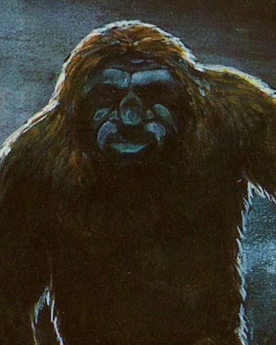 The Fouke Monster - Legend of Boggy Creek